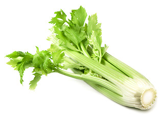 Image showing fresh celery