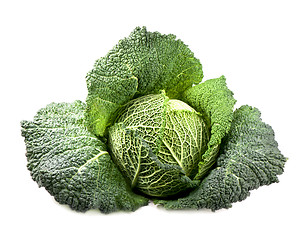 Image showing fresh cabbage