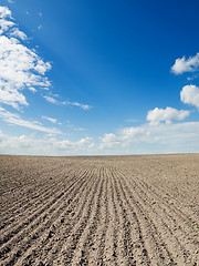 Image showing ploughed field under blue sky