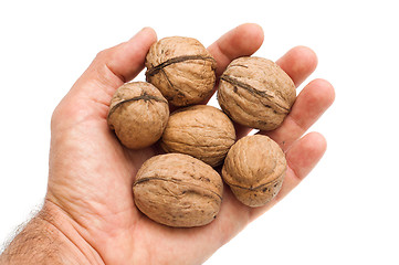 Image showing walnuts in hand