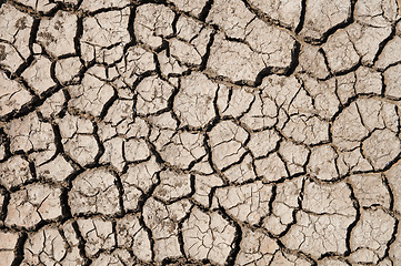 Image showing dry earth texture