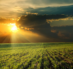 Image showing sunset over green field