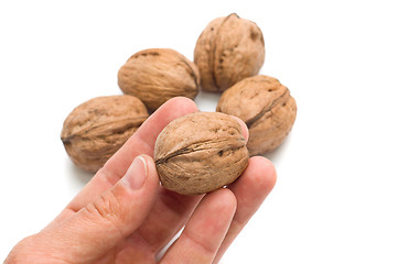 Image showing walnut in hand