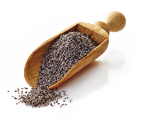 Image showing wooden scoop with poppy seeds