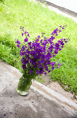 Image showing Purple flower in jar