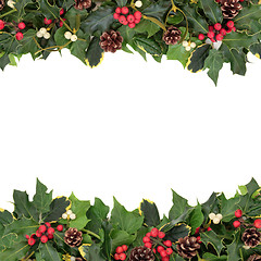 Image showing  Christmas Floral Border