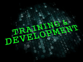 Image showing Training and Development. Educational Concept.