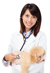 Image showing Asian veterinarian with poodle