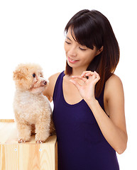 Image showing Asian woman feeding poodle