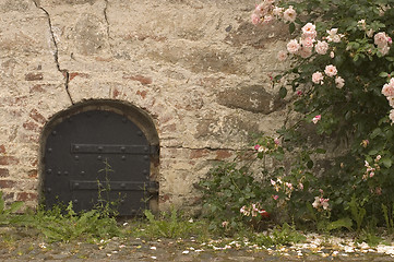 Image showing iron door