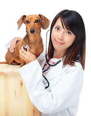 Image showing Female veterinarian with dachshund dog