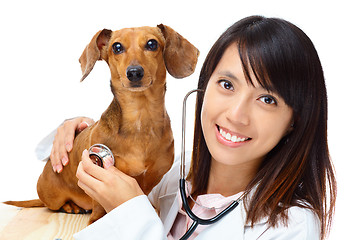 Image showing Veterinarian with dachshund dog