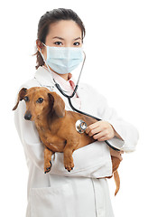 Image showing Asian female veterinarian