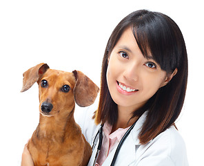 Image showing Veterinarian with dachshund dog