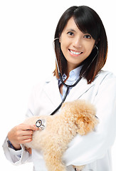 Image showing Asian veterinarian with poodle