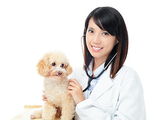 Image showing Asian female veterinarian