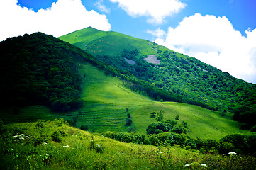 Image showing Green Hills