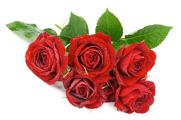 Image showing Red Roses