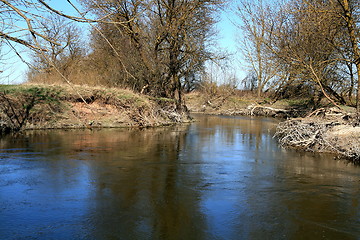 Image showing Springtime