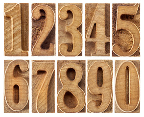 Image showing wood type numbers isolated