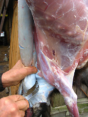 Image showing person cuts meat of a goat