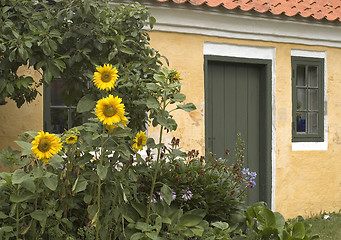 Image showing house in garden