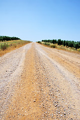 Image showing road at Alentejo, south of Portugal.