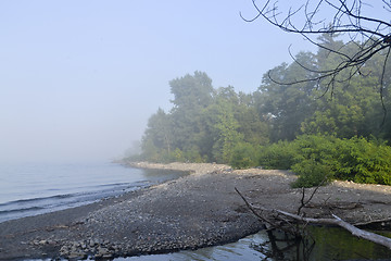 Image showing Mist on the lake.