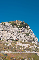 Image showing High mountain in Gibraltar