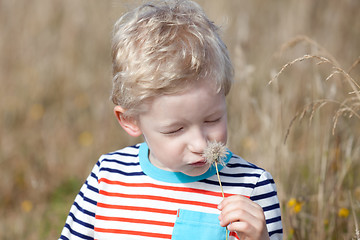 Image showing boy at summer