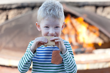 Image showing eating smores