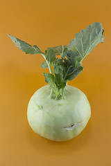 Image showing Cabbage kohlrabi 