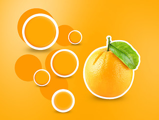 Image showing Orange