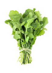 Image showing Green Rocket or Roquette leaves