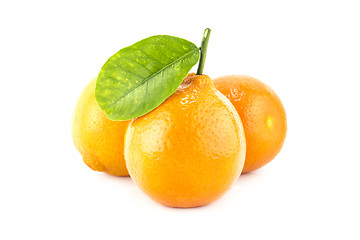 Image showing Sweet Orange Fruit with leaves. 