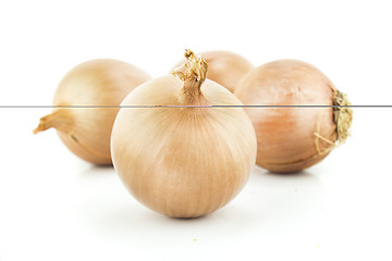 Image showing Ripe golden onions 