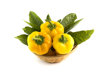 Image showing Yellow sweet pepper 