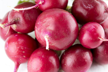 Image showing Small garden red radish