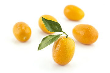 Image showing Sweet Small Orange