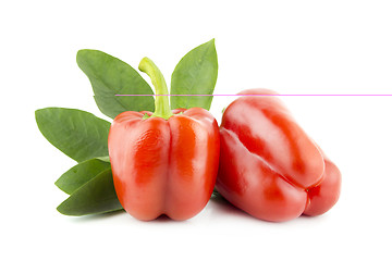 Image showing Red sweet pepper