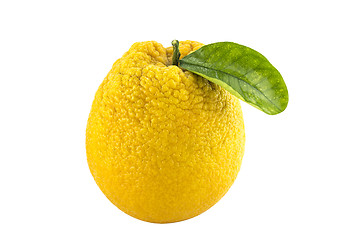 Image showing Sweet Orange Fruit with leaves. 