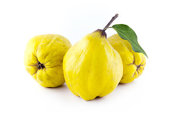 Image showing sweet quinces
