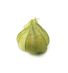 Image showing Cape gooseberry