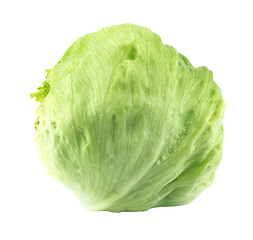 Image showing Green Iceberg lettuce