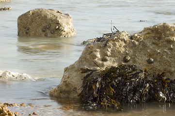 Image showing Rocks in the sea