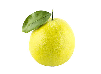 Image showing Bergamot oranges 