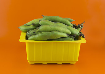 Image showing broad bean pods