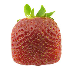 Image showing Strawberry