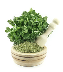 Image showing Mortar with fresh thyme herb