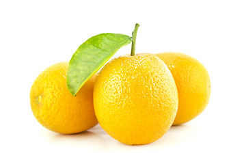 Image showing Sweet Orange Fruit with leaves. 